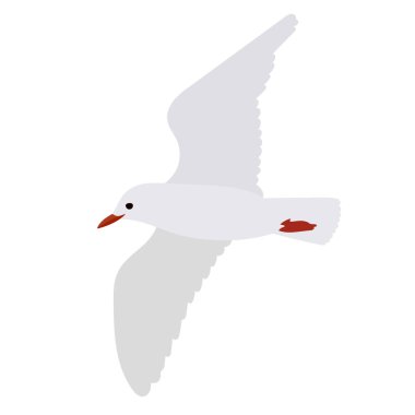 Düz stil, vektör, izole edilmiş uçan martı