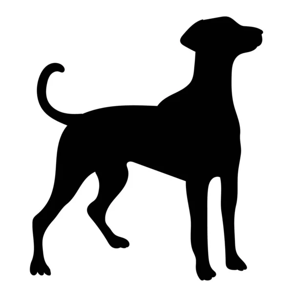 Schwarze Silhouette Eines Hundes Auf Weißem Hintergrund Vektor Isoliert — Stockvektor