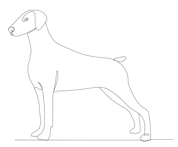 Dog Drawing One Continuous Line Vector — Stock Vector