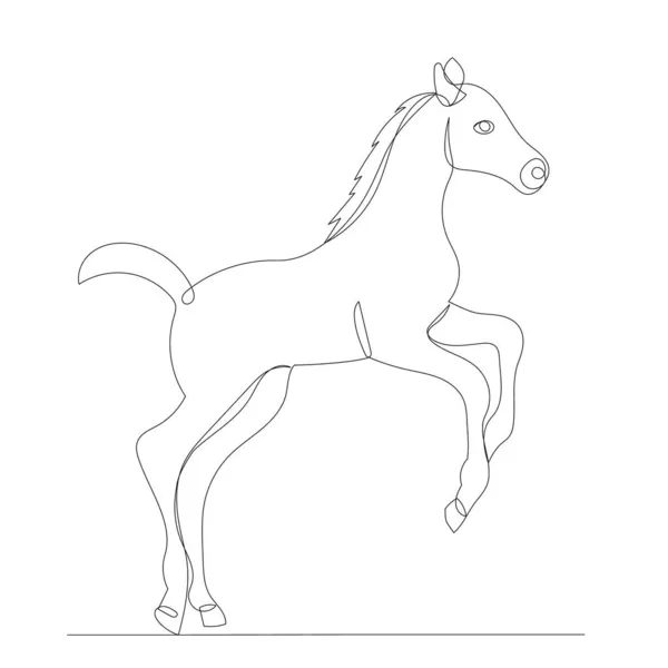 Foal Drawing One Continuous Line Vector — Stock Vector