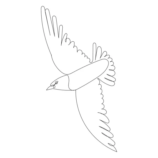 Pájaro Volando Una Línea Continua Dibujo Vector Aislado — Vector de stock