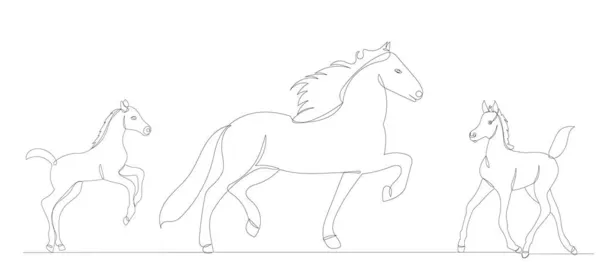 Kůň Hříbě Jeden Spojitý Vektor Kreslení Izolovaný — Stockový vektor