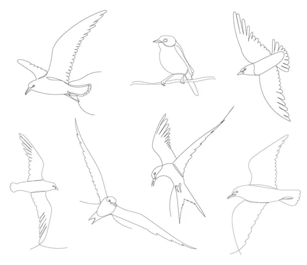 Vogels Vliegen Set Een Continue Lijn Tekening Vector Geïsoleerd — Stockvector