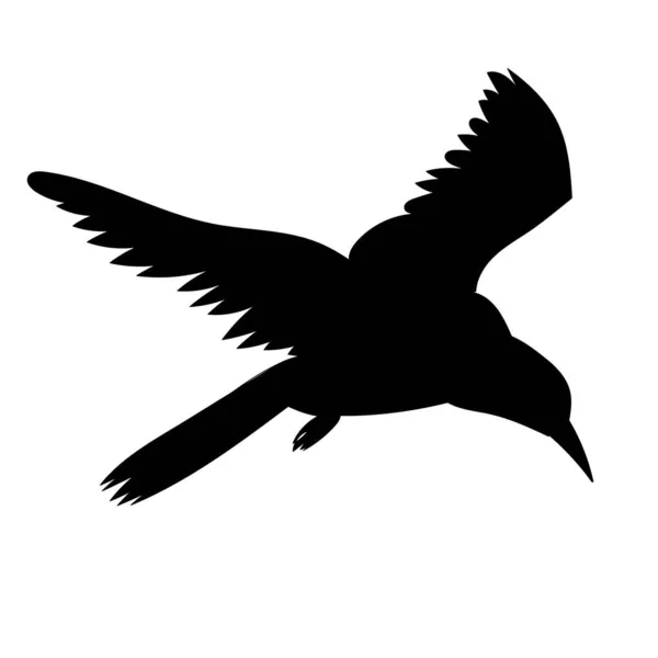 Czarny Sylwetka Latający Ptak Wektor — Wektor stockowy