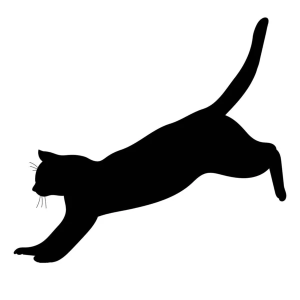 Siluet Hitam Kucing Melompat Vektor Terisolasi - Stok Vektor