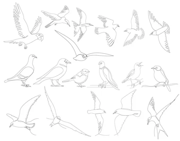 Набір Птахів Малює Один Вектор Безперервної Лінії Ізольований — стоковий вектор