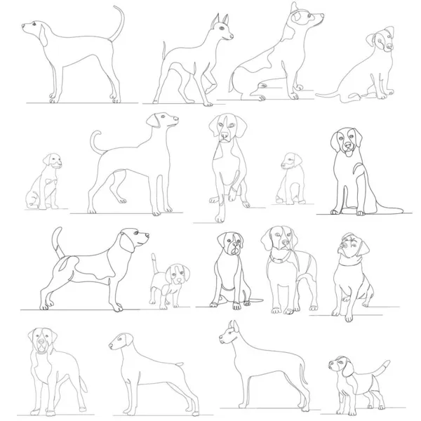 Perros Conjunto Dibujo Vector Línea Continua Aislado — Archivo Imágenes Vectoriales