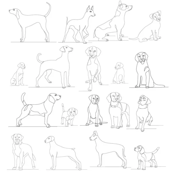 Ensemble Chiens Dessin Vecteur Ligne Continue Isolé — Image vectorielle