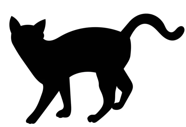 Katze Schwarzer Silhouettenvektor Isoliert — Stockvektor