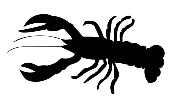 shrimp, cancer, black silhouette vector, isolated, icon