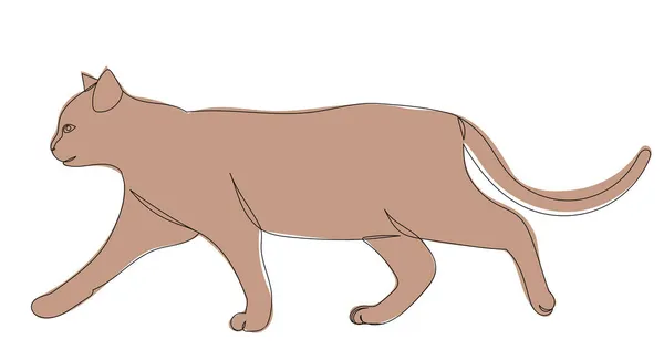 Gato Caminando Línea Continua Dibujo Vector Aislado — Archivo Imágenes Vectoriales