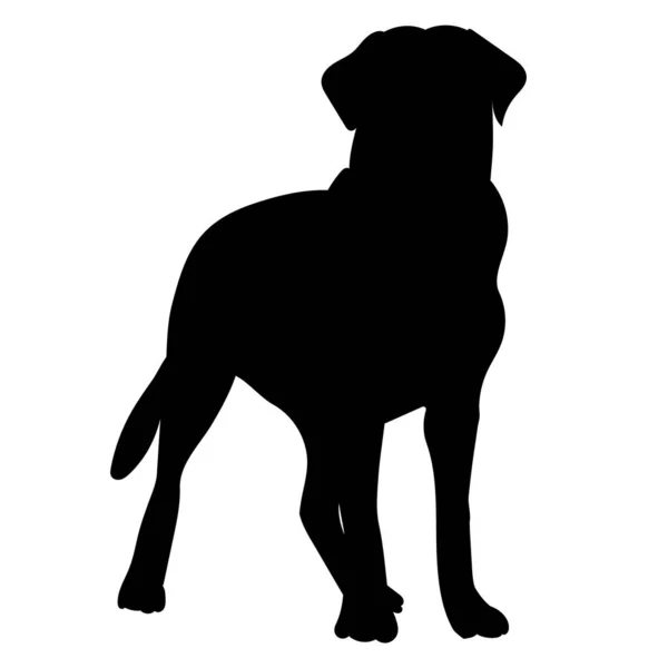 Cão Fundo Branco Preto Silhueta Vetor — Vetor de Stock