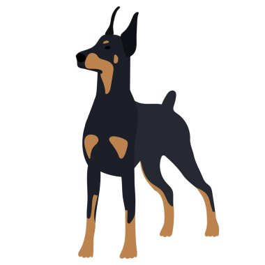 köpek düz stil vektörü, izole