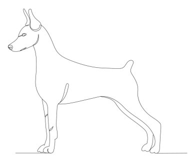 Köpek sürekli bir çizgi çekiyor. 