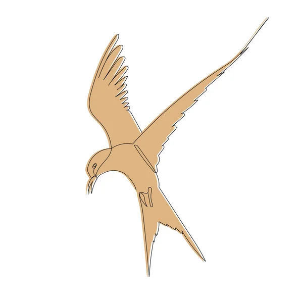 Птах Літає Безперервна Лінія Малюнок — стоковий вектор