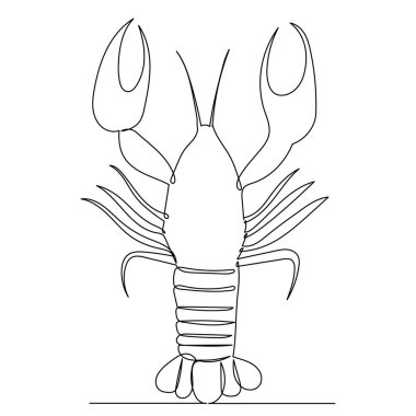 Istakoz sürekli bir çizgi vektörü çiziyor, izole.