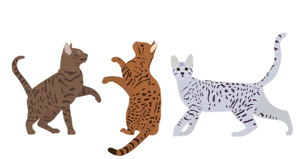 Коти Плоскому Стилі Вектор Ізольовані — стоковий вектор