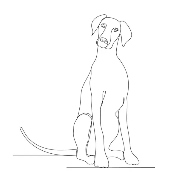 Cão Sentado Uma Linha Contínua Desenho Vetor Isolado — Vetor de Stock