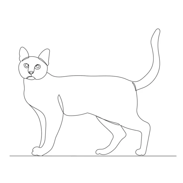 Gato Dibujo Vector Línea Continua Aislado — Vector de stock