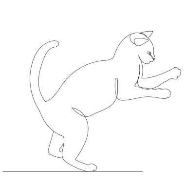 kedi beyaz arkaplanda bir çizgi çiziyor