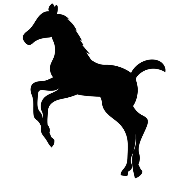 Foal Black Silhouette Vector Isolated White Background — Stock Vector