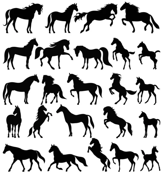 Ensemble Chevaux Collection Silhouettes Vectorielles Isolé Sur Fond Blanc — Image vectorielle