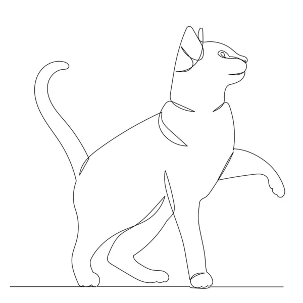 Кошка Рисует Одну Линию Белом Фоне — стоковый вектор