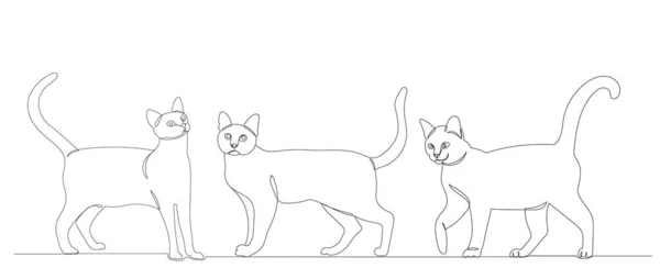 Gatos Dibujo Una Línea Aislada Vector Sobre Fondo Blanco — Archivo Imágenes Vectoriales