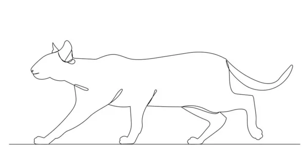 Kat Tekening Een Lijn Geïsoleerd Vector Witte Achtergrond — Stockvector