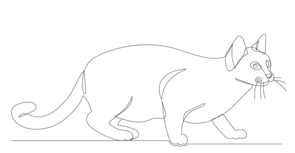 Katze Zeichnet Eine Linie Isoliert Vektor — Stockvektor