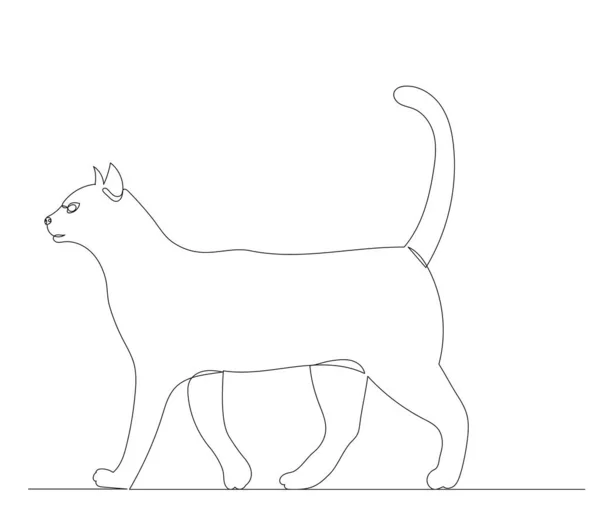 Gato Dibujar Una Línea Sobre Fondo Blanco — Archivo Imágenes Vectoriales