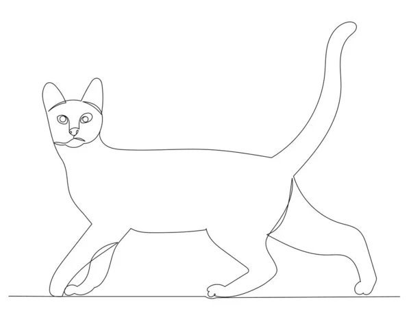 Gato Dibujando Una Línea Sobre Fondo Blanco Vector — Archivo Imágenes Vectoriales