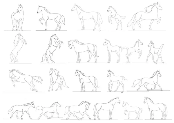 Лошади Ставят Одну Линию Рисунок Белом Фоне Вектор — стоковый вектор