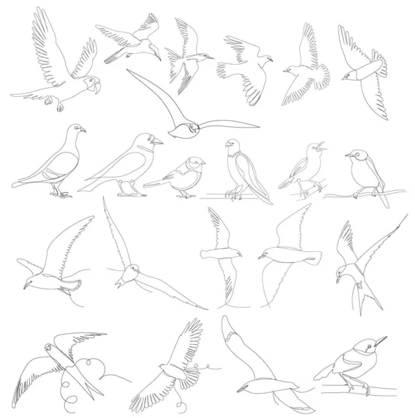 Oiseaux Volent Une Ligne Dessin Ensemble Sur Fond Blanc Vecteur — Image vectorielle