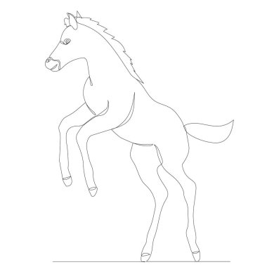 Tay bir aralıksız çizgi çizimi, vektör, izole