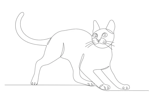 Cat Drawing One Continuous Line Vector Isolated — Stock Vector