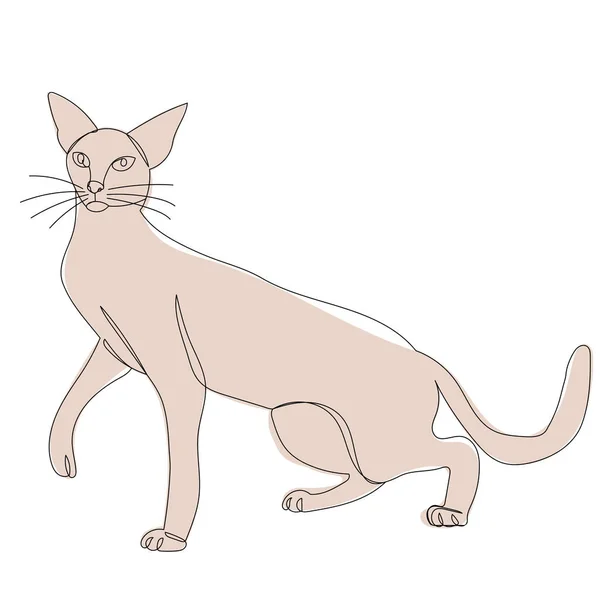 Dibujo Del Boceto Del Gato Vector Aislado — Archivo Imágenes Vectoriales