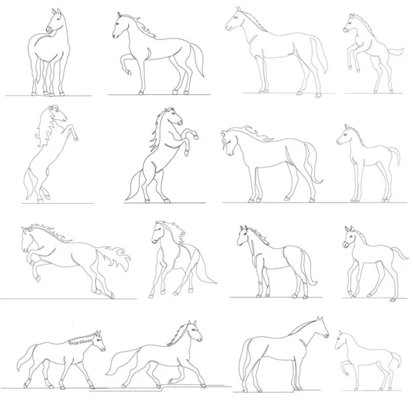 Conjunto Cavalos Desenho Por Uma Linha Contínua Vetor Isolado —  Vetores de Stock
