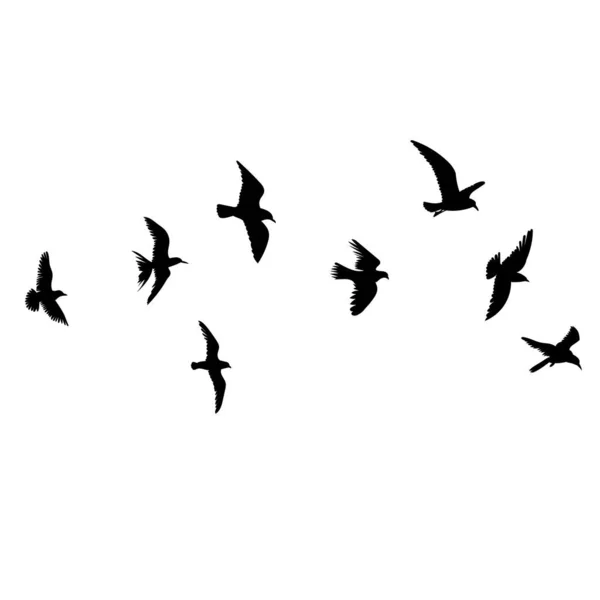 Silueta Létajících Ptáků Vektor Izolované — Stockový vektor