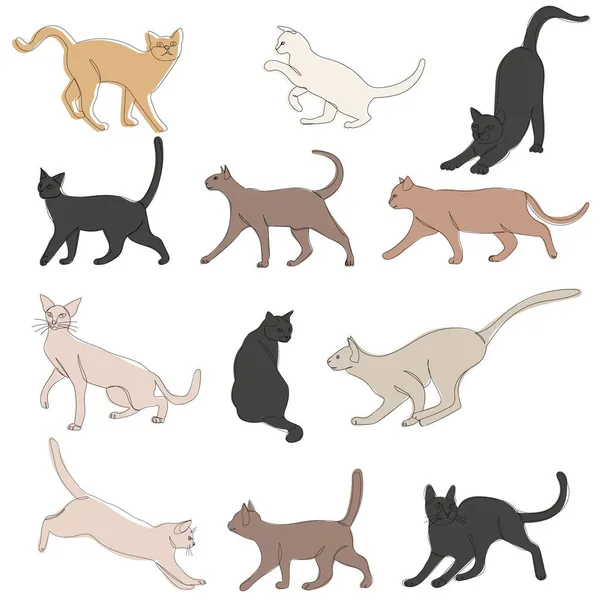 Кіт Набір Ескіз Малюнок Вектор Ізольовані — стоковий вектор