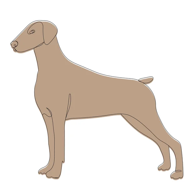 Pes Hnědý Náčrt Kresba Vektor Izolované — Stockový vektor
