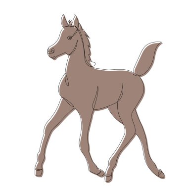 kahverengi tay, çizim, vektör, izole edilmiş