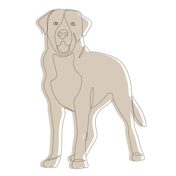 Brown Dog Sketch Vector Isolated White Background — Stock Vector