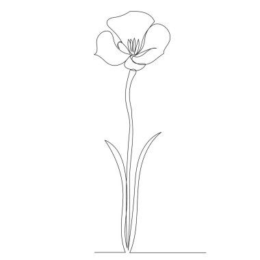 Çiçek çizimi aralıksız bir çizgi ile