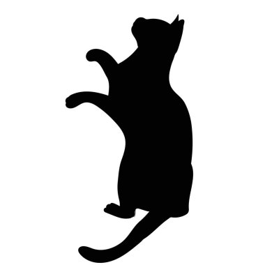 kedi, siyah siluet, vektör, izole edilmiş