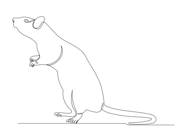 Rata Ratón Una Línea Continua Dibujo Vector — Vector de stock