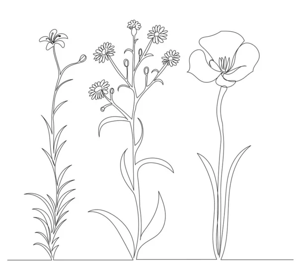 Σχέδιο Λουλουδιών Από Μια Συνεχή Γραμμή Διάνυσμα Απομονωμένο — Διανυσματικό Αρχείο