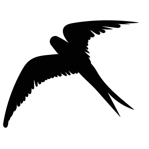 Fliegender Vogel Schwarze Silhouette Vektor — Stockvektor