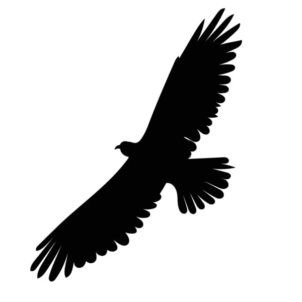 Fliegender Vogel Schwarze Silhouette Vektor — Stockvektor