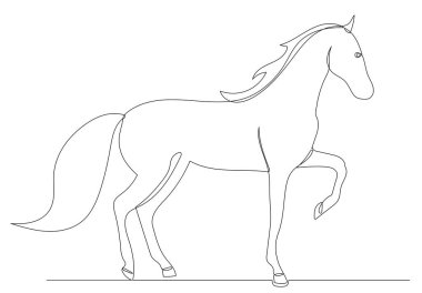 at çizimi, sürekli bir çizgi, çizim, vektör